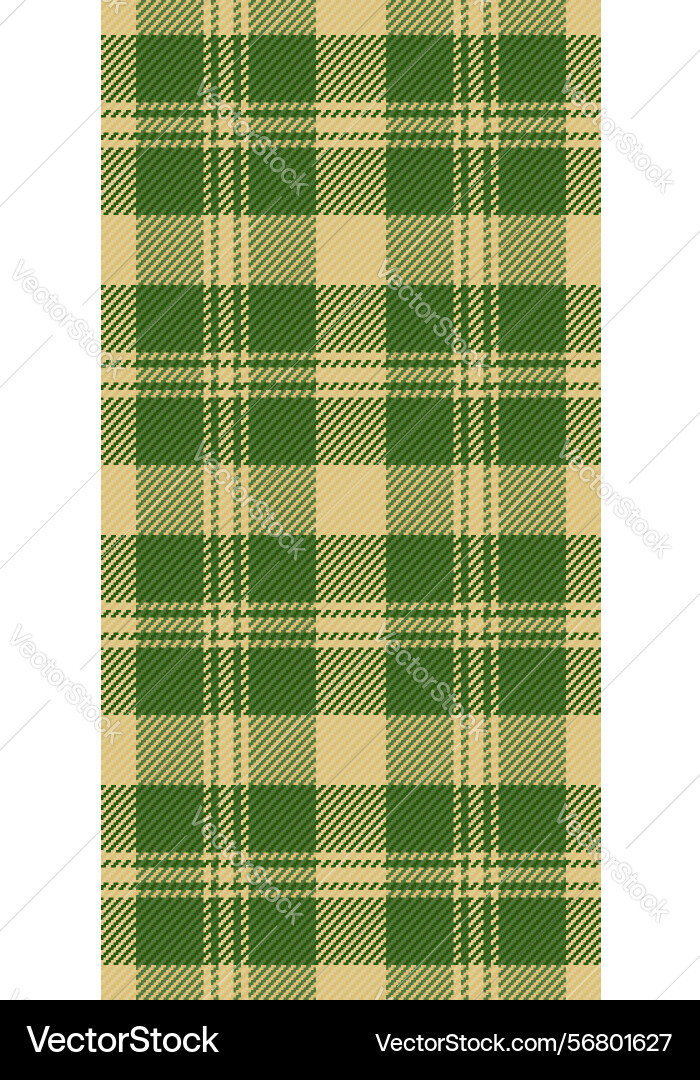 Throw plaid check pattern scratch background vector image