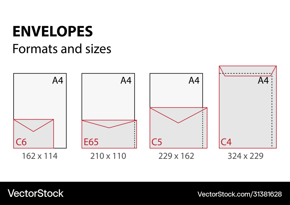 Envelopes formats and sizes set Vector Image