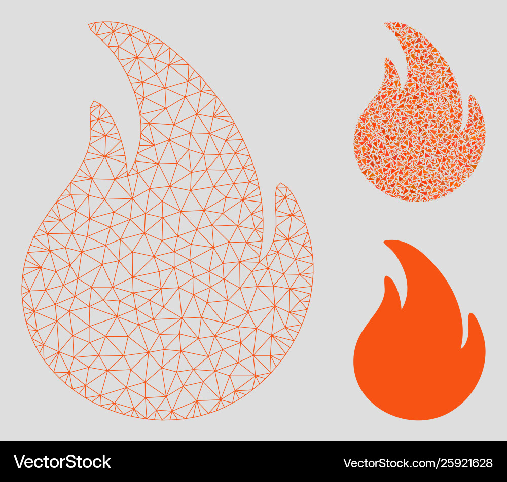 Fire mesh wire frame model and triangle Fire mesh wire frame model and triangle vector image