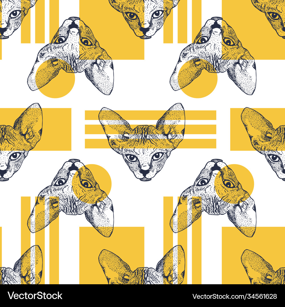 Heads sphinx kittens seamless pattern with yellow Heads sphinx kittens seamless pattern with yellow vector image