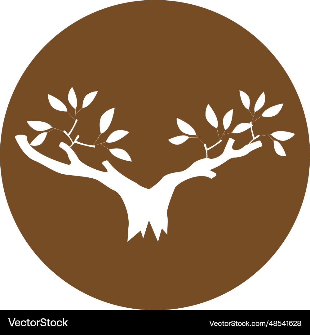 Tree design Tree design vector image