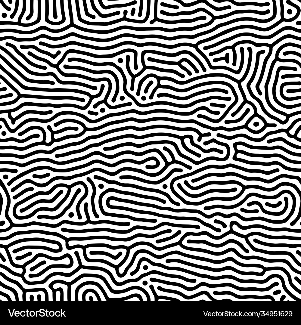 Abstract background organic irregular lines Vector Image