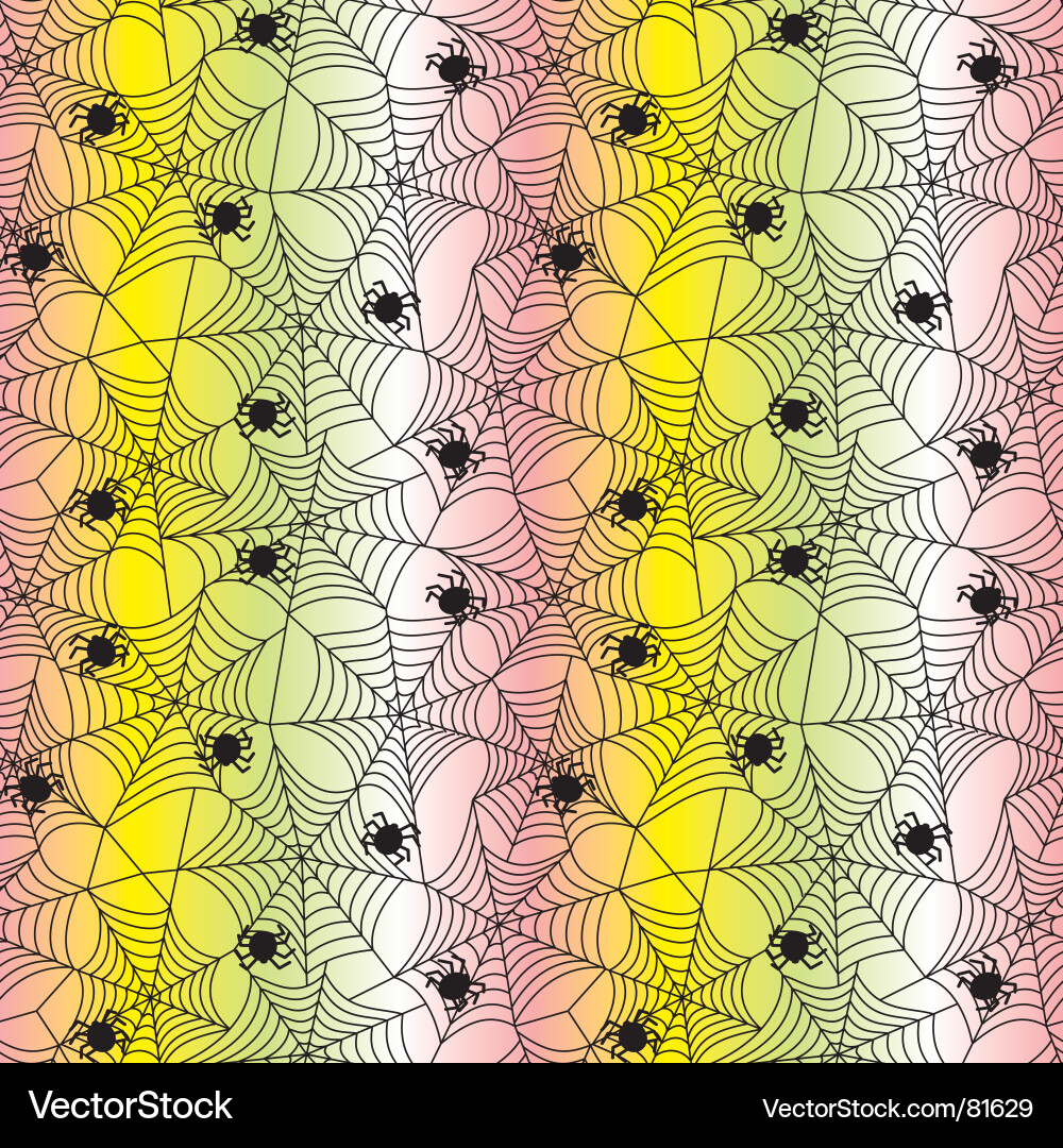 Elegant Web Pattern vector image