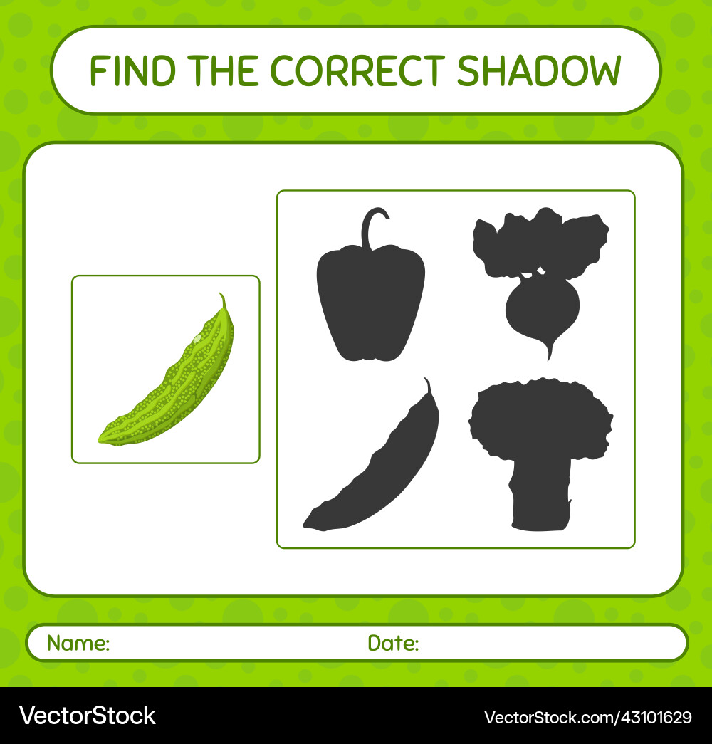 Find the correct shadows game with bitter melon Vector Image