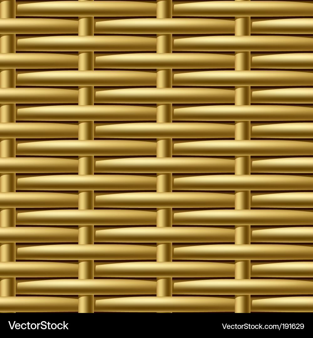 Golden Wicker Pattern vector image