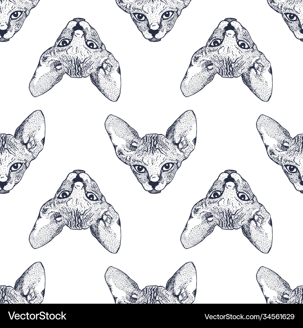 Heads sphinx kittens seamless pattern the cat Heads sphinx kittens seamless pattern the cat Vector Image