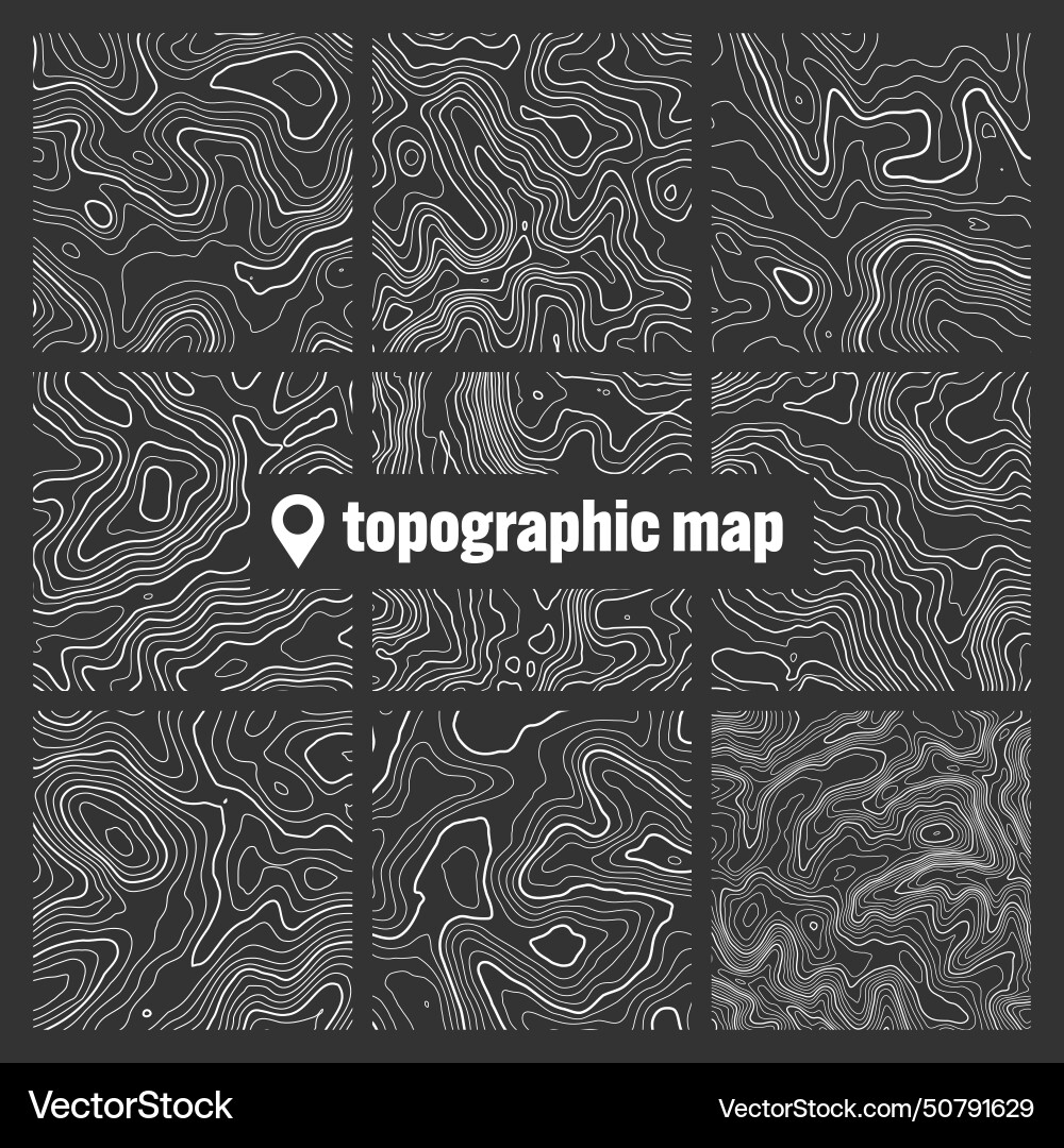Topographic map with contour lines geographic Topographic map with contour lines geographic vector image