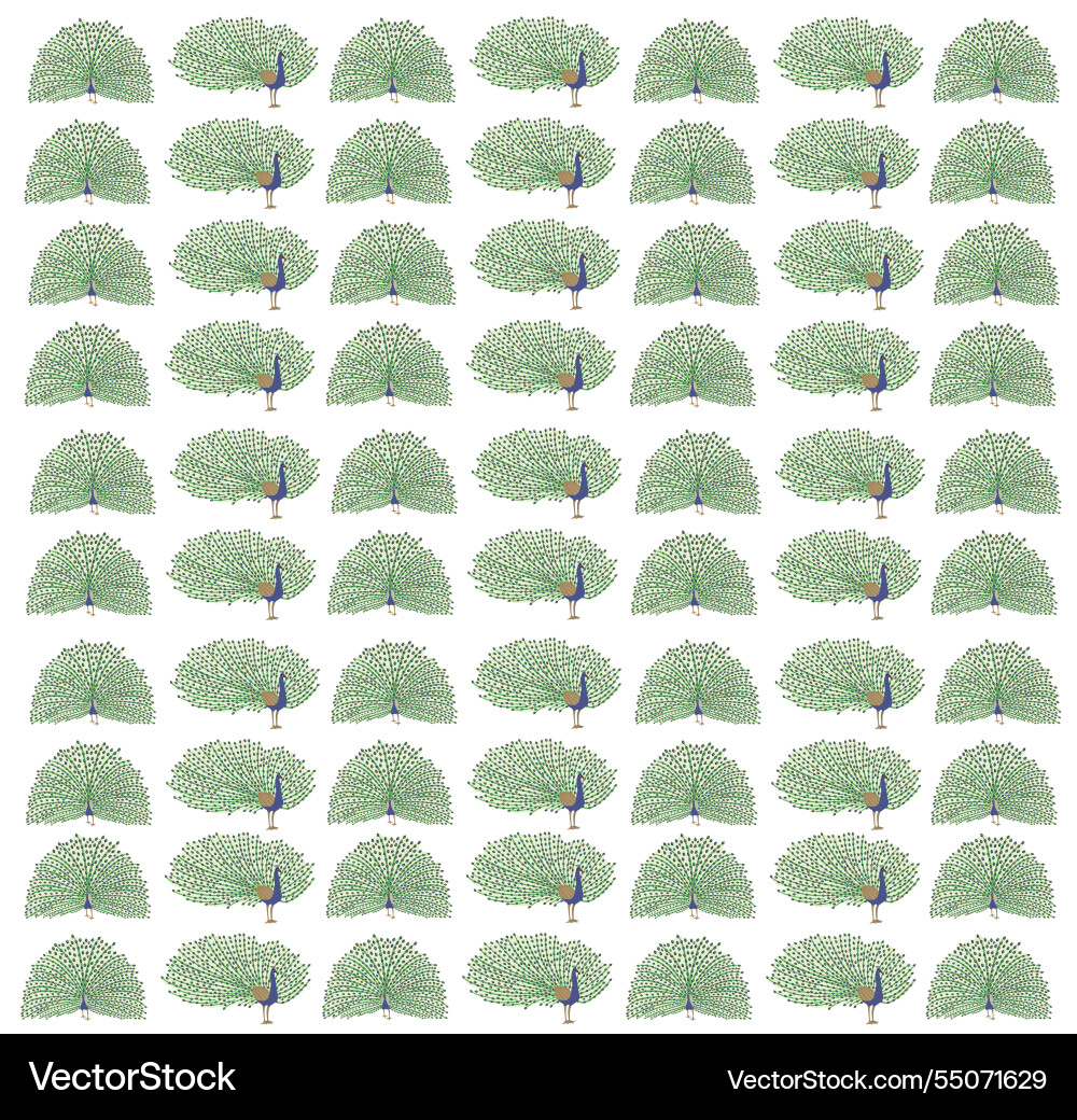 Two peacock with different style as a pattern Two peacock with different style as a pattern vector image