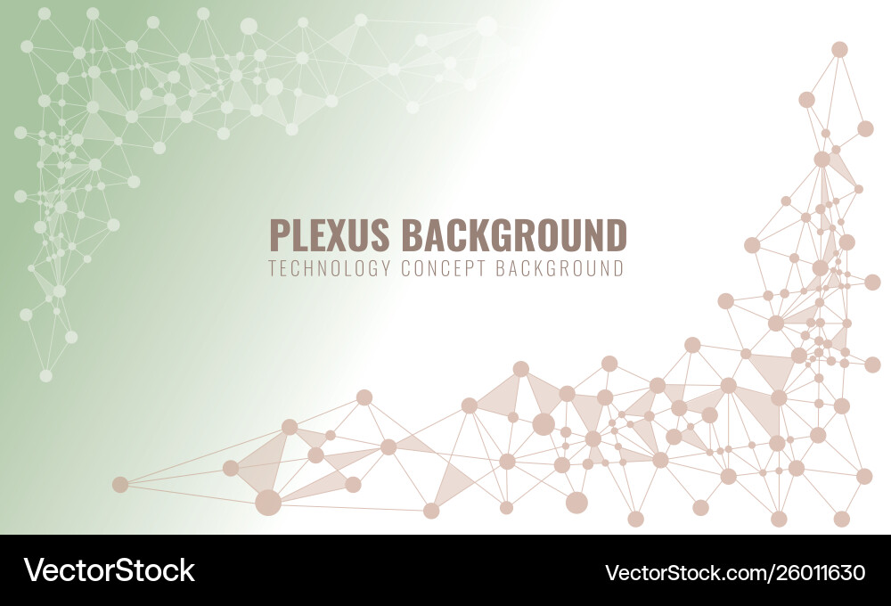 Abstract plexus background with connected lines vector image