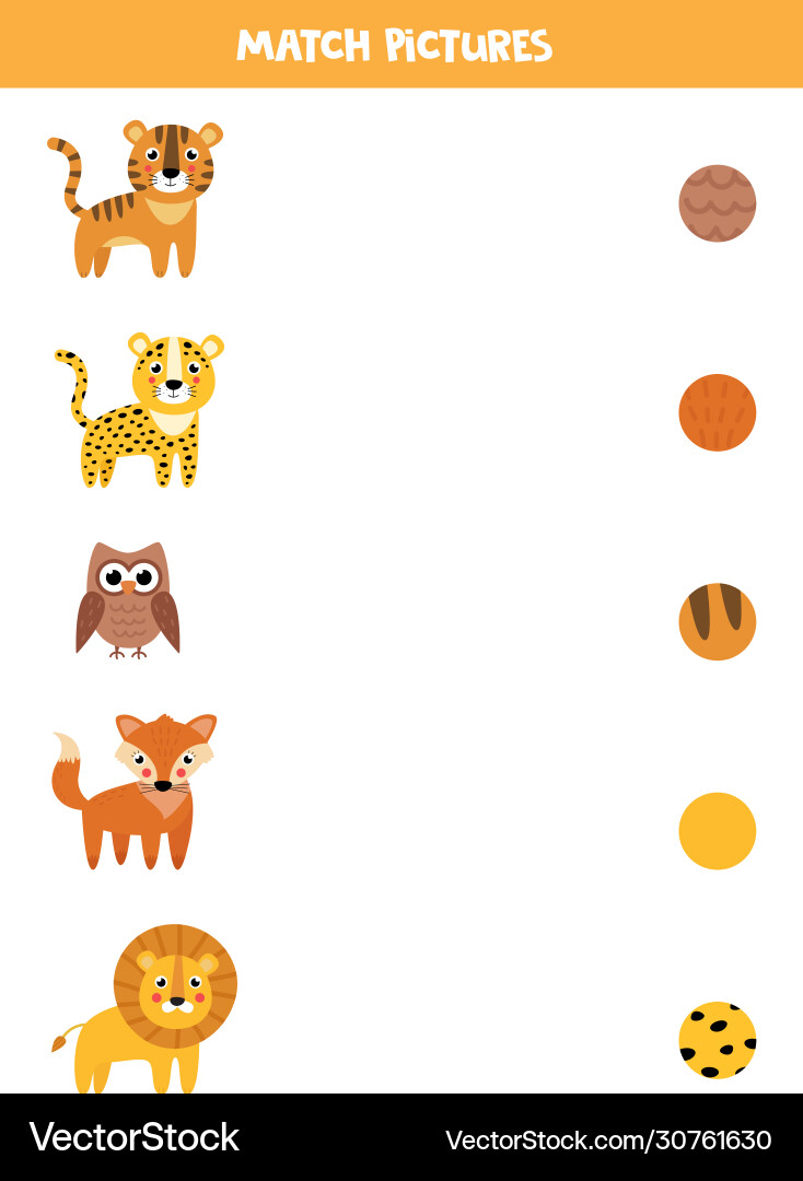Animal Pattern Matching Game vector image