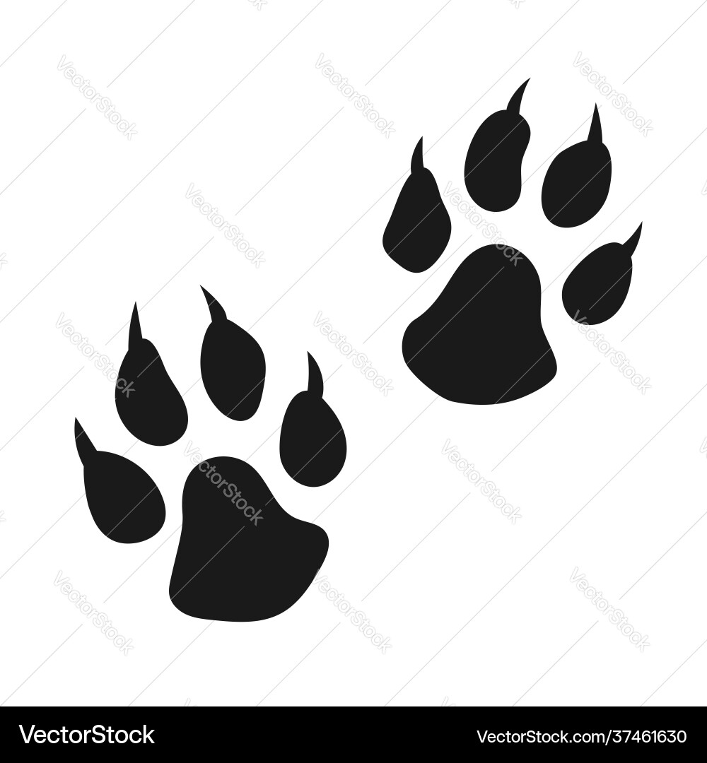 Clawed Paw Print - Animal Footprint Vector Image