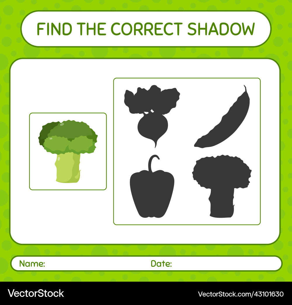 Find the correct shadows game with broccoli Find the correct shadows game with broccoli vector image