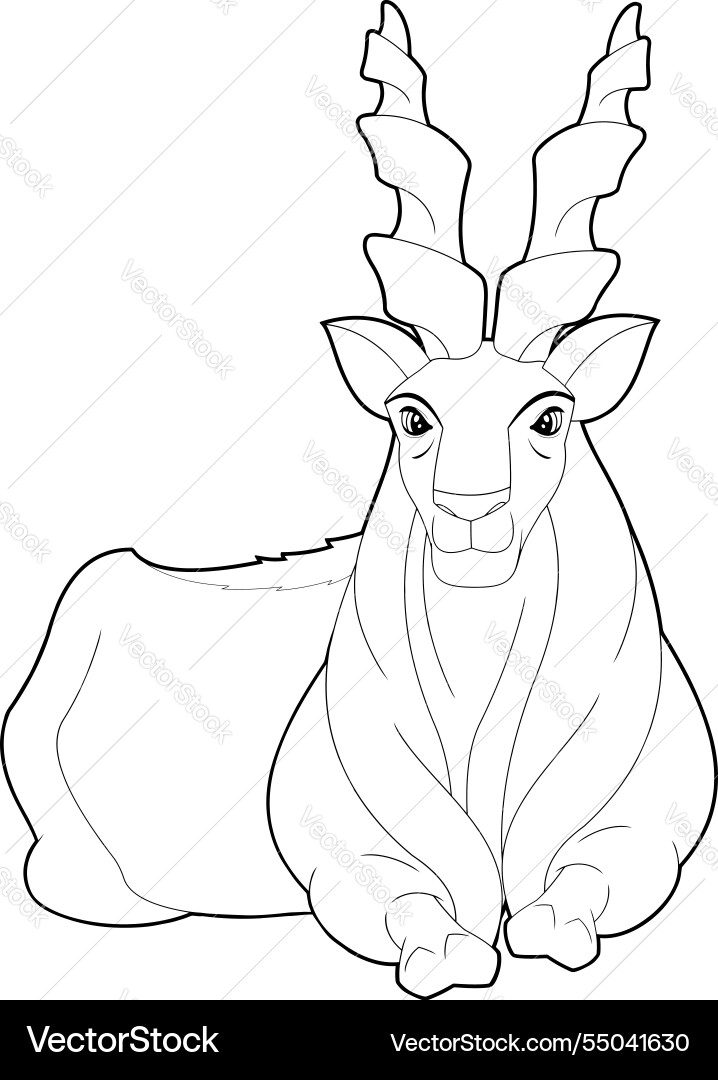 Outlined markhor animal cartoon character Outlined markhor animal cartoon character Vector Image
