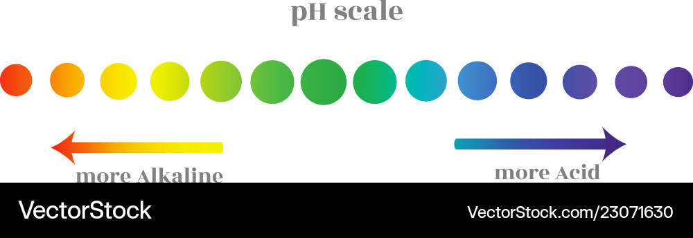 Ph scale with gradation of different levels Ph scale with gradation of different levels vector image
