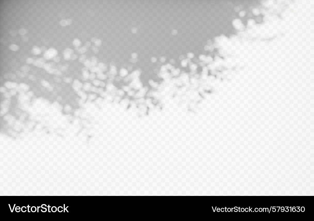 Shadow overlay from a tree branch isolated Shadow overlay from a tree branch isolated Vector Image