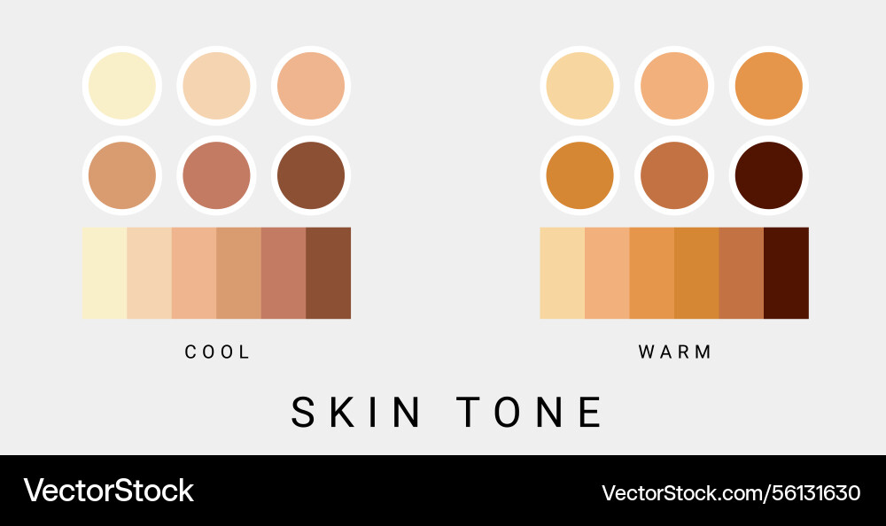 Skin tone color palette set design Royalty Free Vector Image