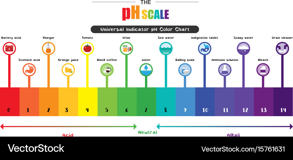 PH Scale Universal Indicator Chart Vector Image