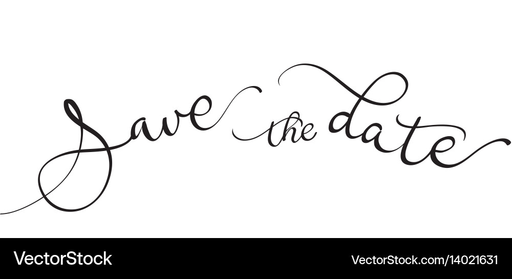 Save the date text on white background vector image