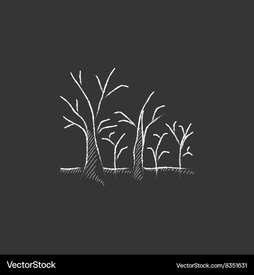 Tree with bare branches drawn in chalk icon Vector Image