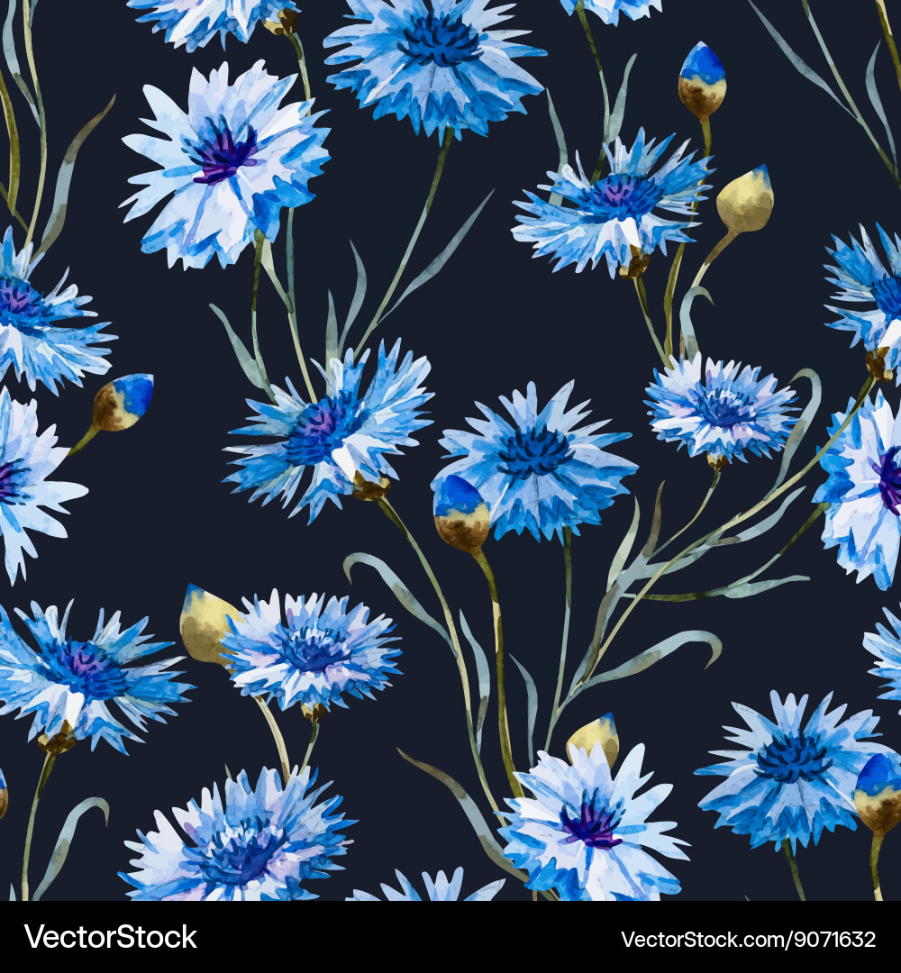 Watercolor Cornflower Pattern Vector Image