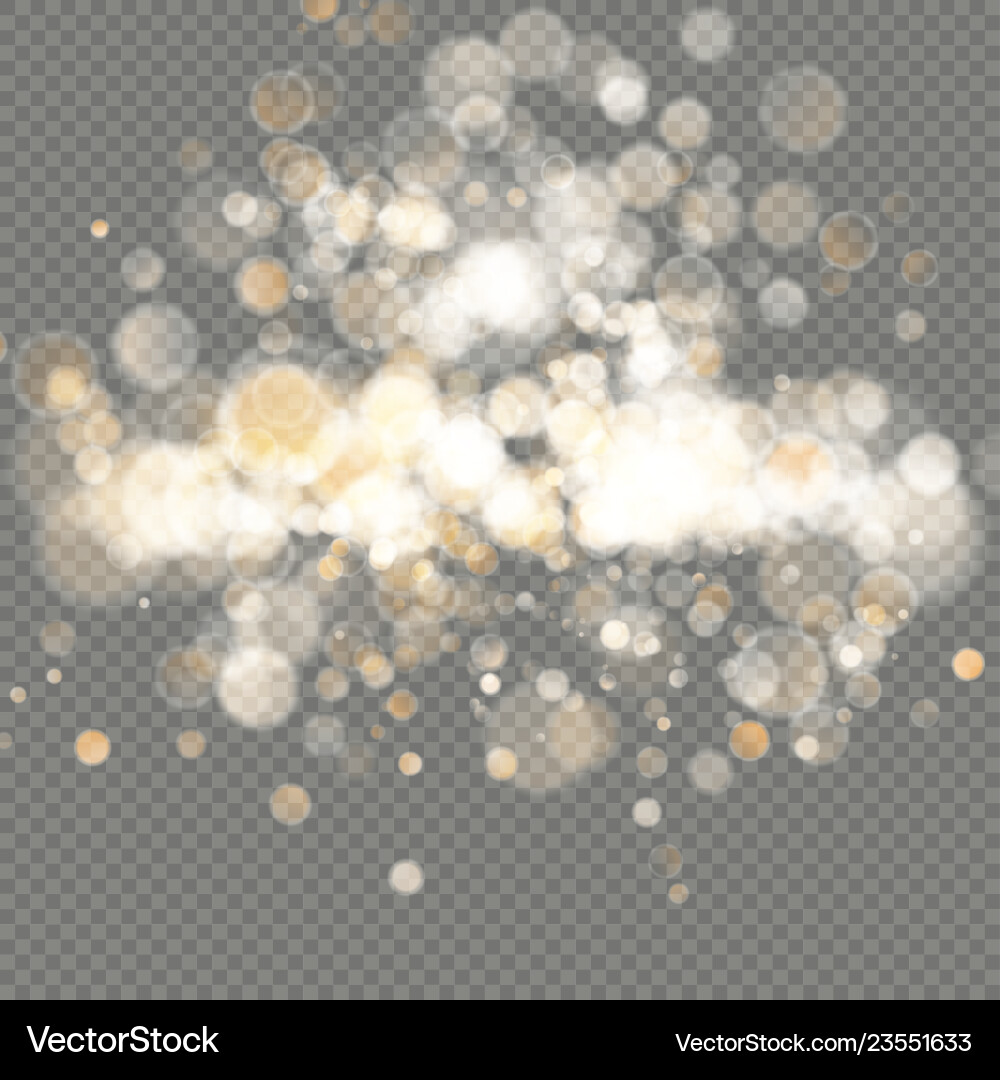 Effect of bokeh circles isolated on transparent Effect of bokeh circles isolated on transparent Vector Image