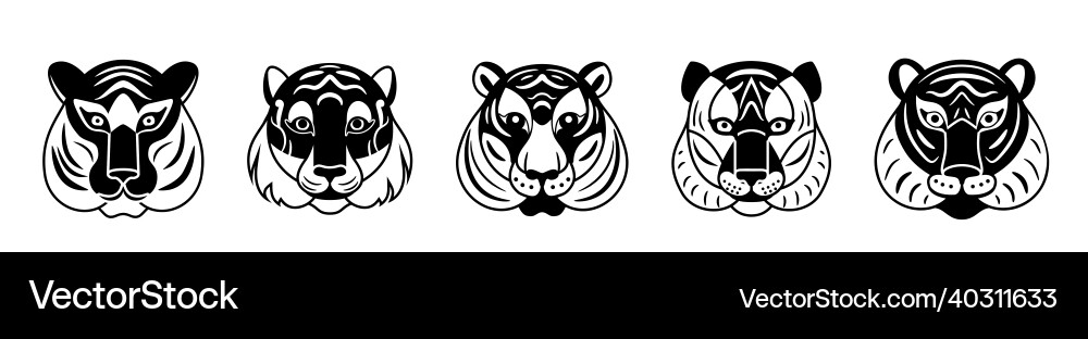 Tiger faces set background black and white vector image