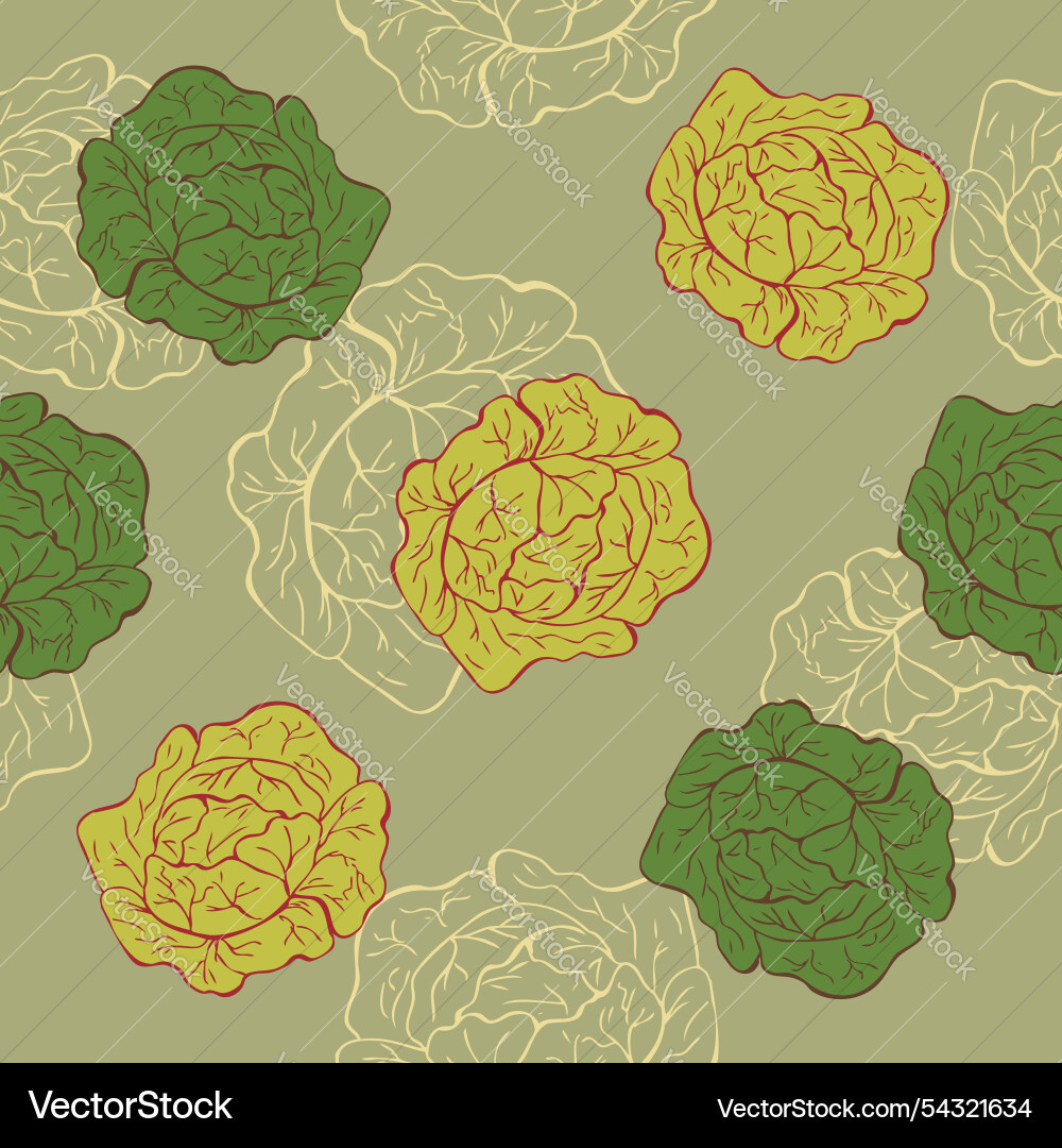 Seamless pattern of cabbage on a color background Vector Image