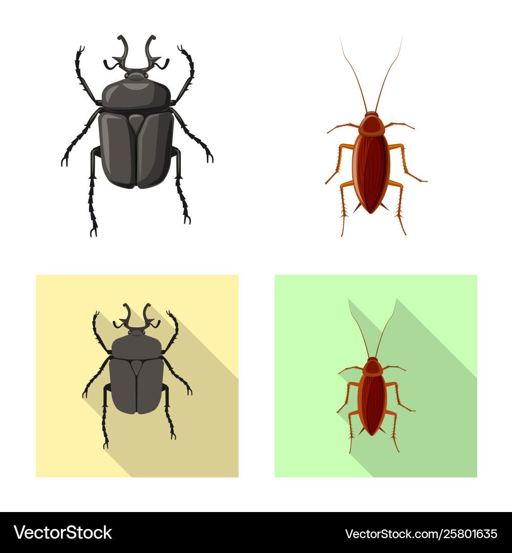 Isolated object insect and fly icon collection vector image