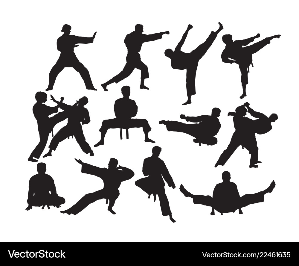 Karate Silhouettes - Action Poses Vector Image