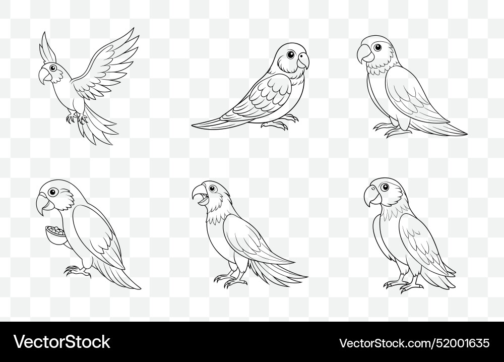 Print elegant parrot line art set vector image