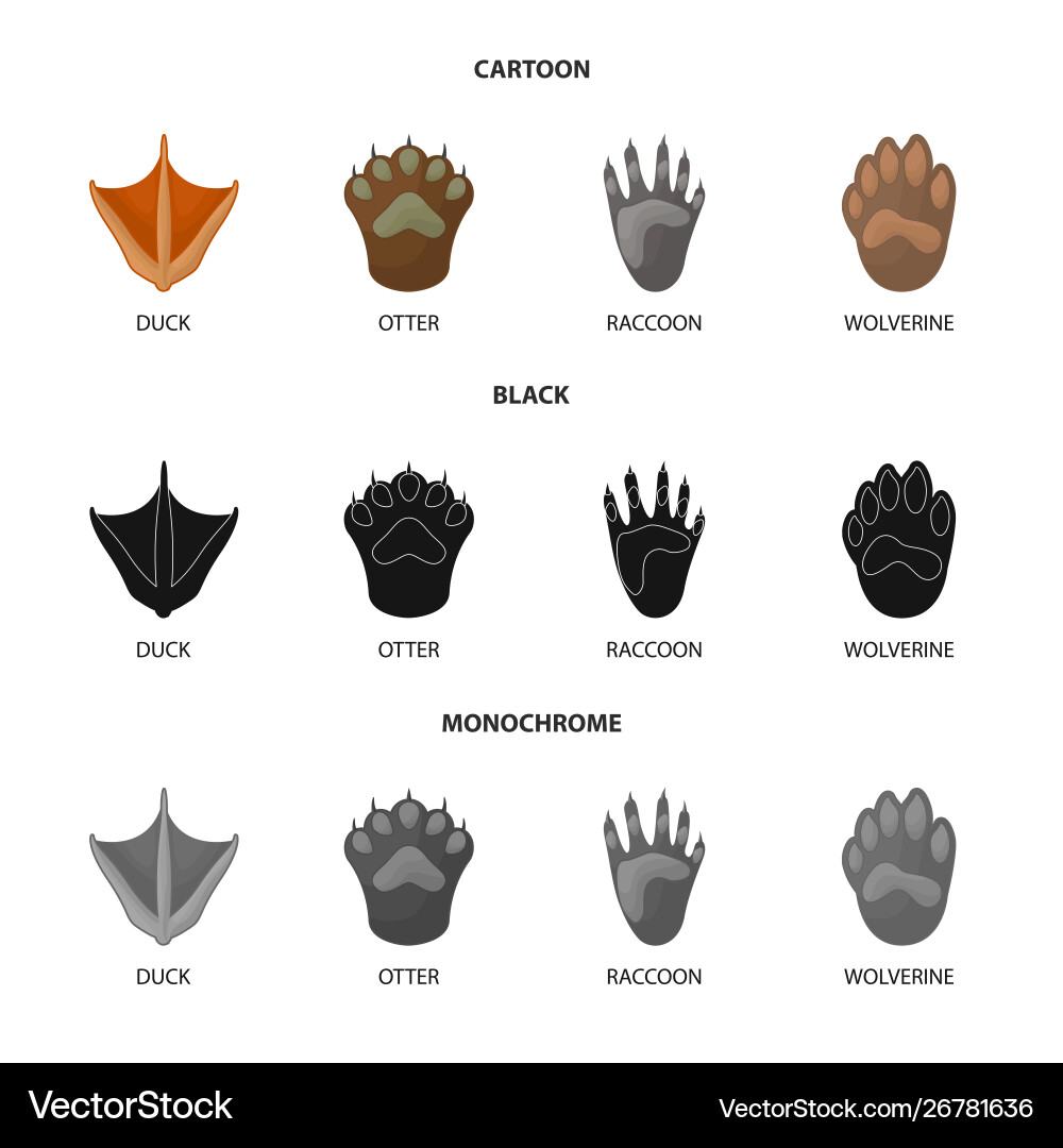 Design step and walk icon collection Vector Image