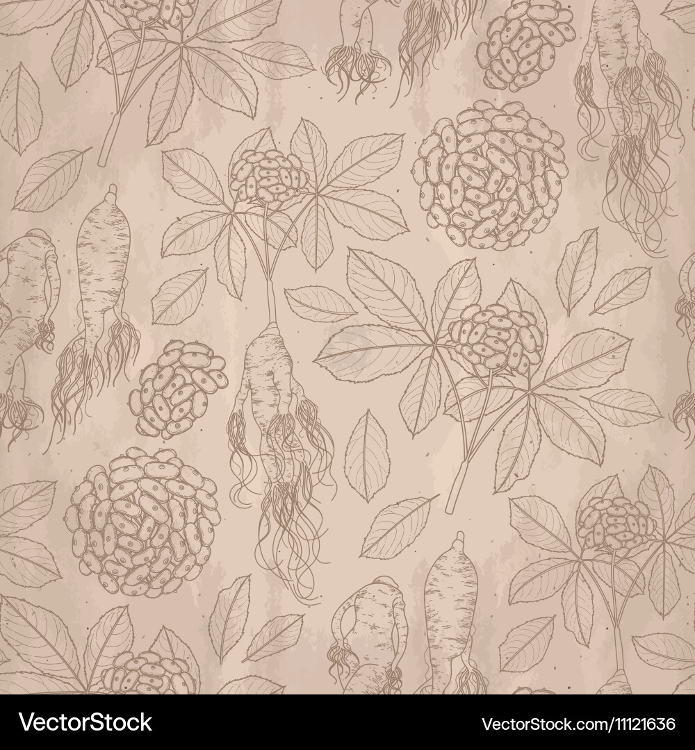 Ginseng Root Pattern - Botanical Line Art Vector Image