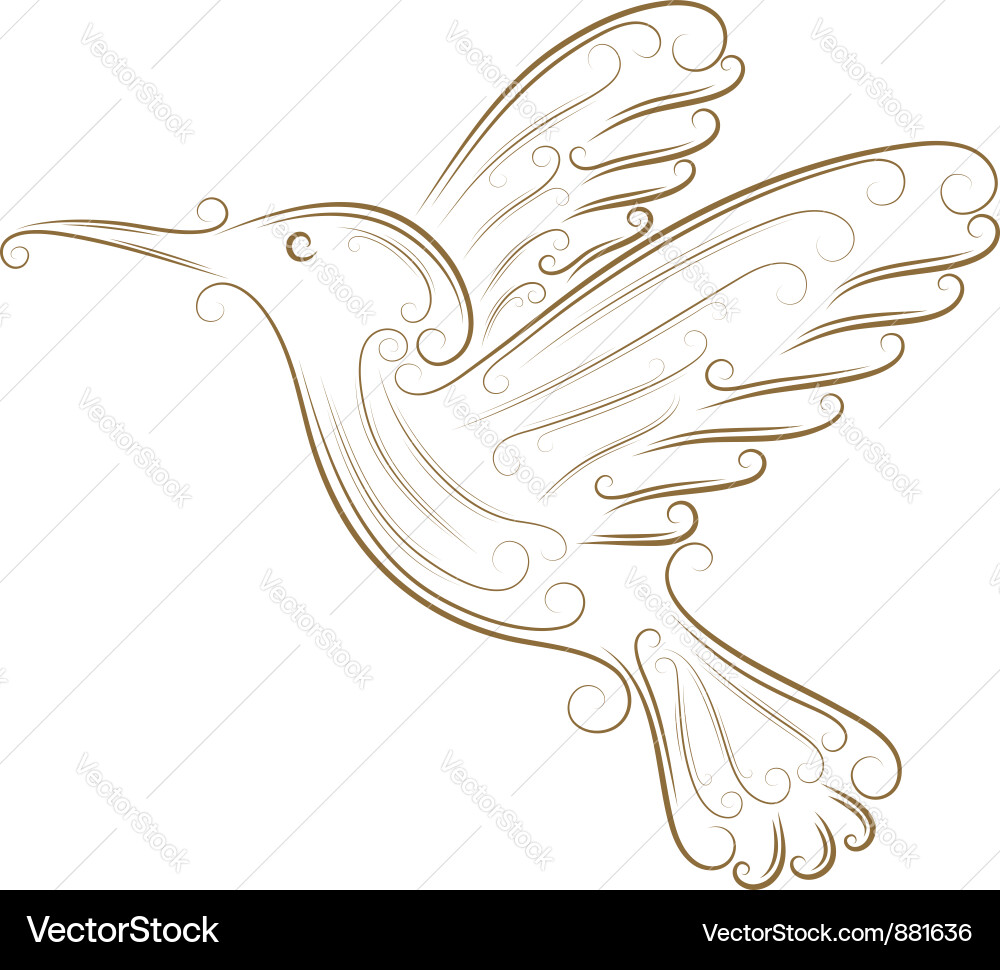 Hummingbird Sketch Vektorbild