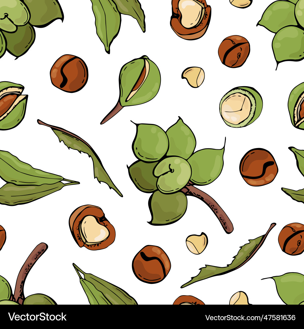 Seamless pattern with macadamia nuts Vector Image