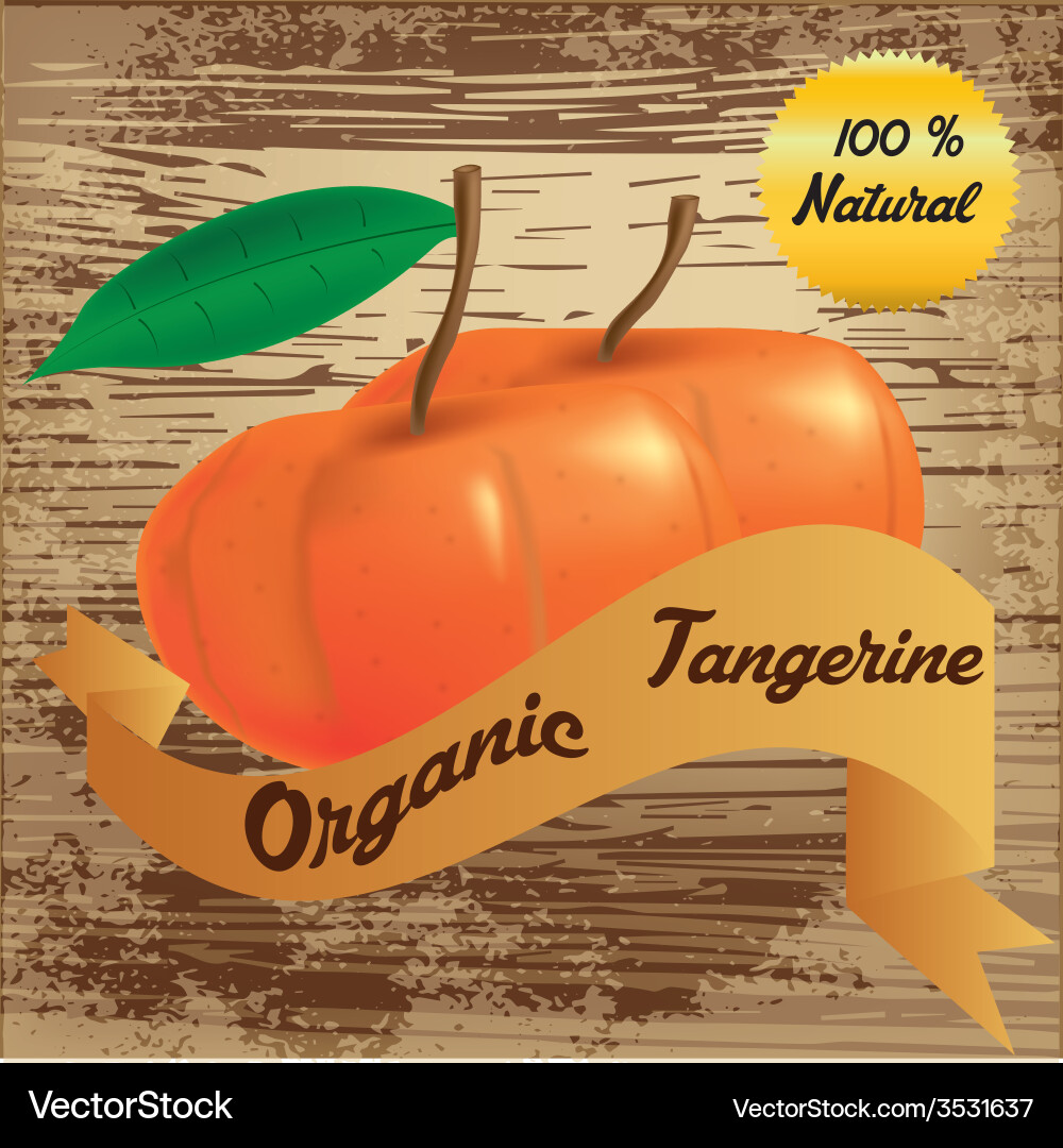 An isolated pair tangerines and a ribbon with text Vector Image