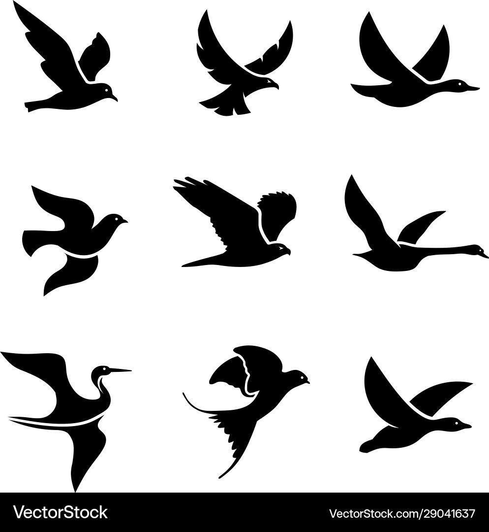 Elegant Bird Logo Set Vector Image