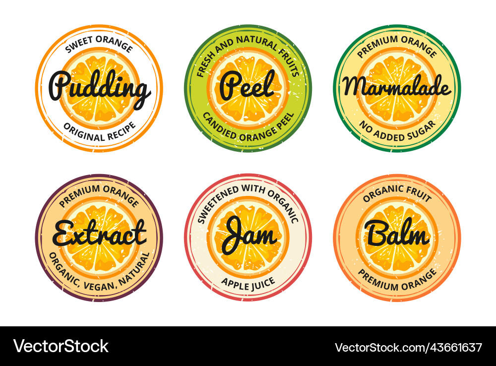 Premium orange dessert organic natural vitamin Premium orange dessert organic natural vitamin vector image