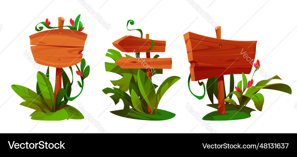 Set of jungle signboards Set of jungle signboards vector image