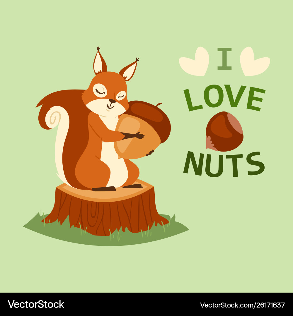 Squirrel hugging acorn and standing on wooden tree Squirrel hugging acorn and standing on wooden tree vector image