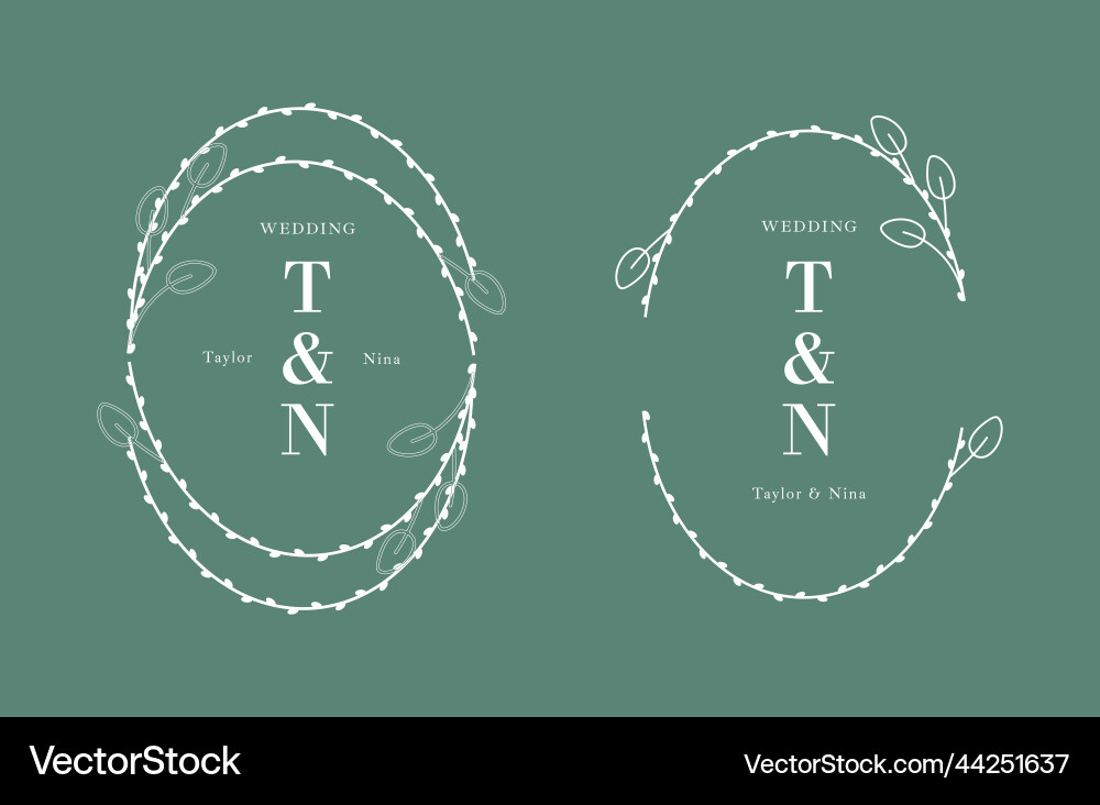 Web Web vector image