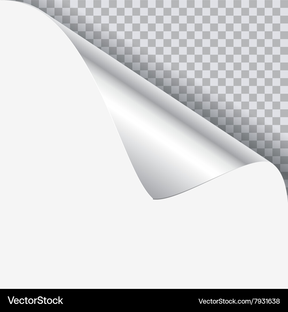 Page Curl with Shadow vector image