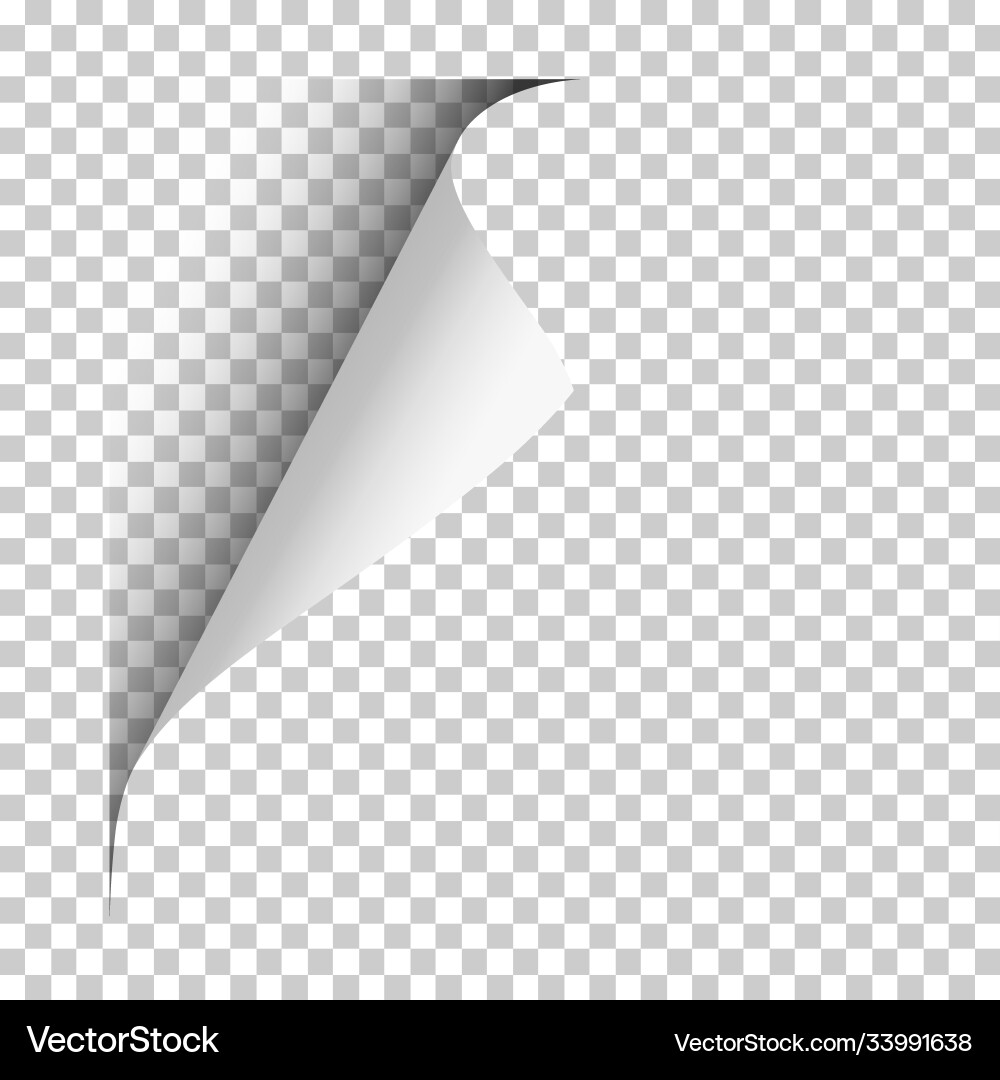 Page with upper left curl shadow on blank Page with upper left curl shadow on blank vector image