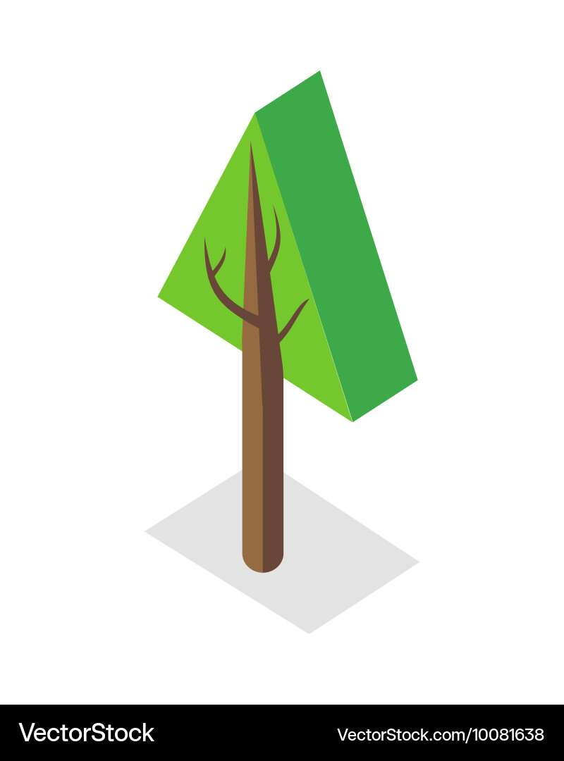 Tree in isometric projection vector image