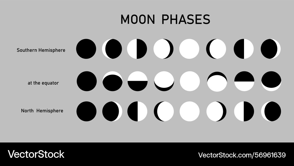 Consistent change of the visible moon in sky Vector Image