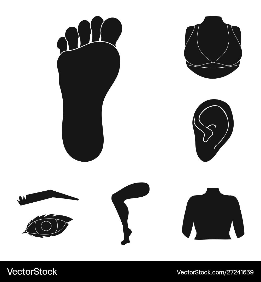 Design body and part icon collection Design body and part icon collection vector image