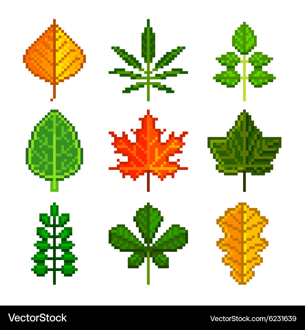 未使用　秋に向けて♡AUTUMN LEAVES スタンプセット　スタンピンアップ Free Video – Textured Artistic Leaves Card | Zindorf Stamps