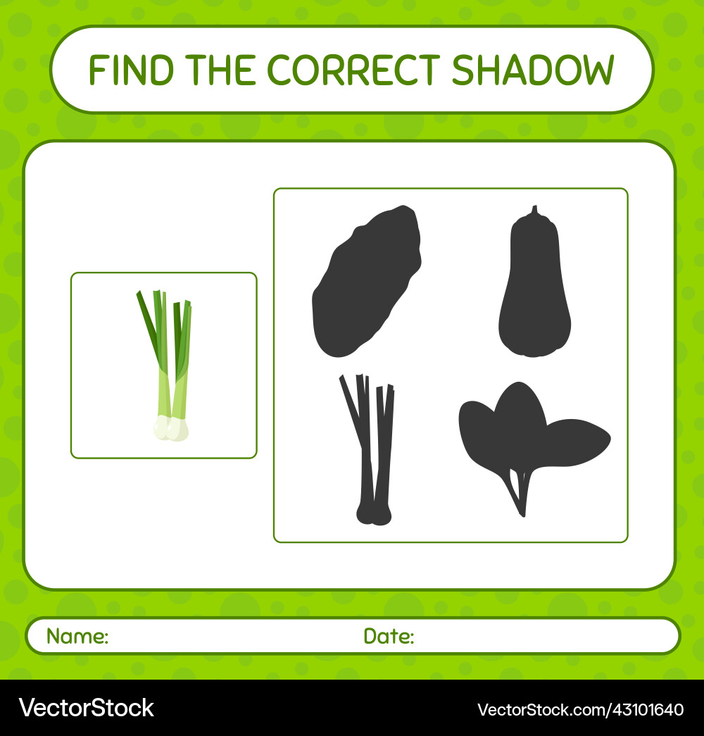 Find the correct shadows game with spring onion Find the correct shadows game with spring onion Vector Image