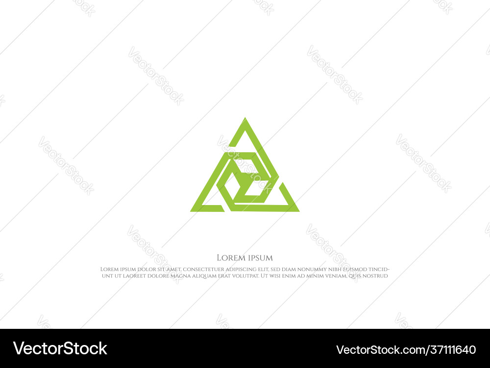 Futuristic triangle box cube logo design vector image