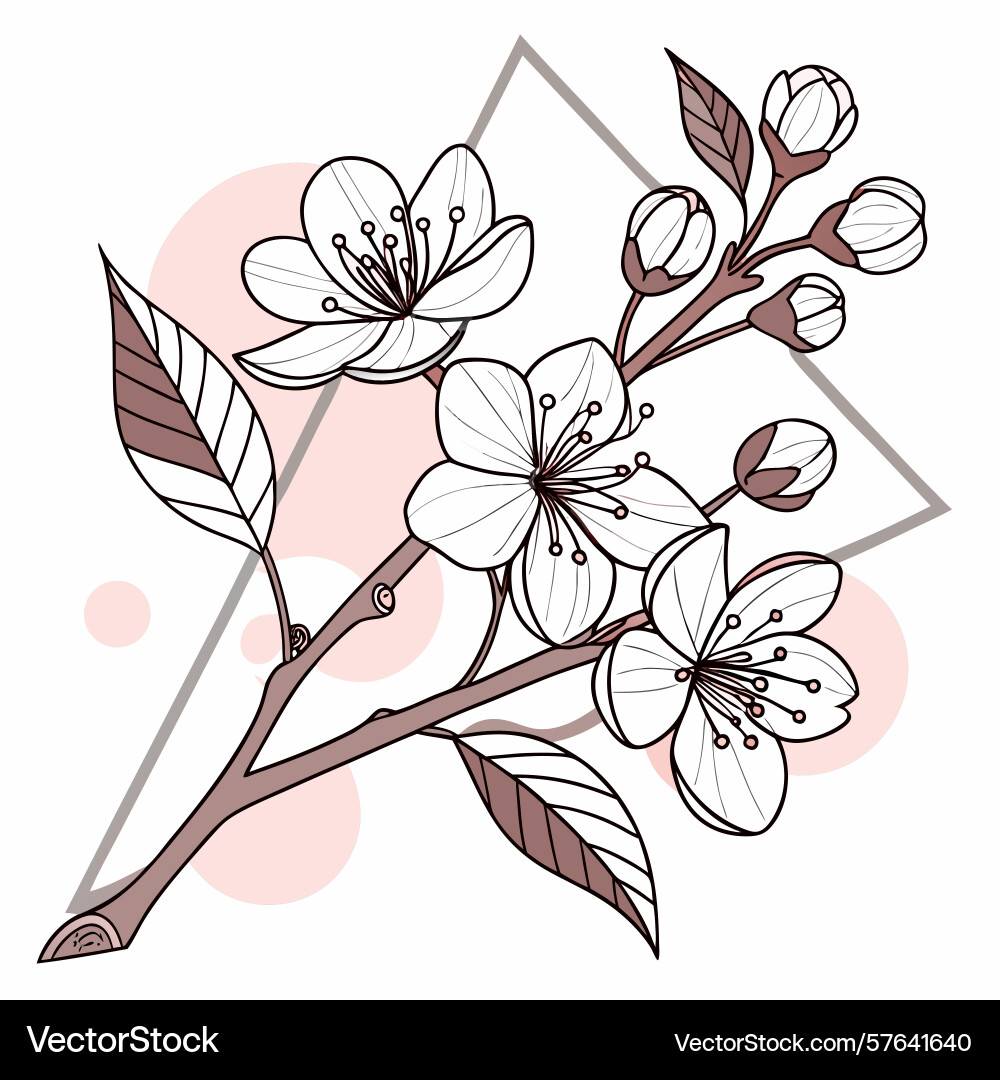 Sakura branch in geometric frame Vector Image