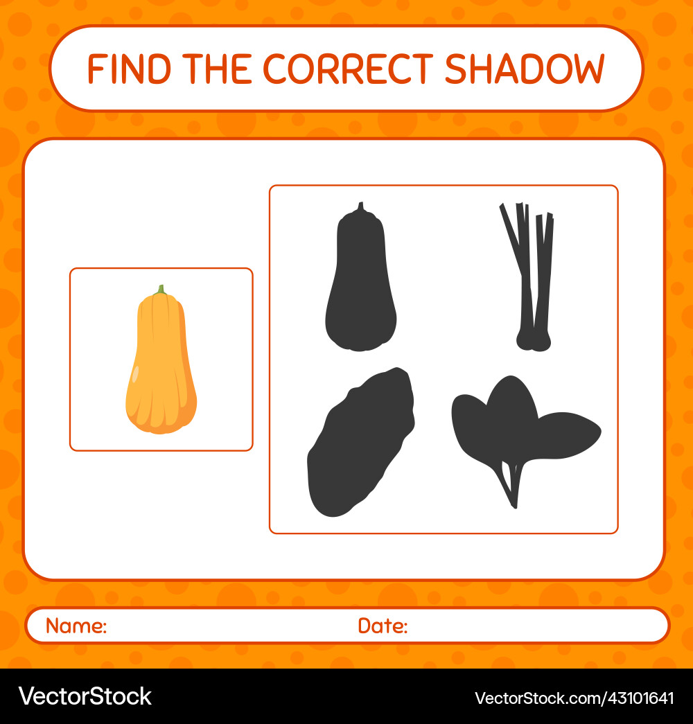 Find the correct shadows game with squash Find the correct shadows game with squash vector image